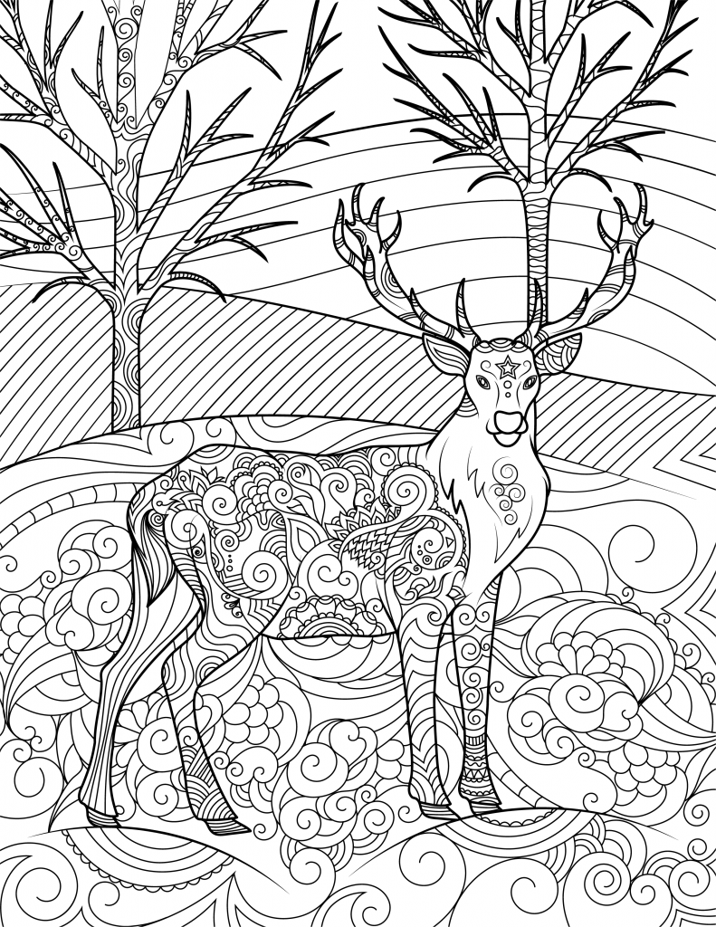 Wild Life Colouring Book - Pentastica